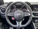 ALFA ROMEO Stelvio 2.9 V6 Quadrifoglio Sky 21 Zoll Q4