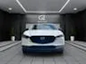 MAZDA CX-30 SKYACTIV-X 186 M Hybrid Homura AWD AT