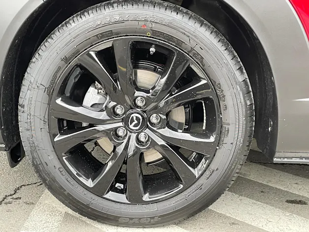 MAZDA CX-30 SKYACTIV-X 186 M Hybrid Homura AWD AT