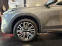 Geely Starray EM-i MAX + PHEV