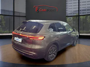 Geely Starray EM-i MAX + PHEV