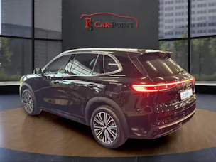 Geely Starray EM-i MAX + PHEV