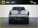 FORD Ranger DKab.Pick-up 3.0 EcoBoost 4x4 Raptor