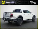FORD Ranger DKab.Pick-up 3.0 EcoBoost 4x4 Raptor