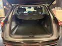 Geely Starray EM-i MAX + PHEV