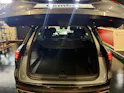 Geely Starray EM-i MAX + PHEV
