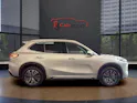 Geely Starray EM-i MAX + PHEV