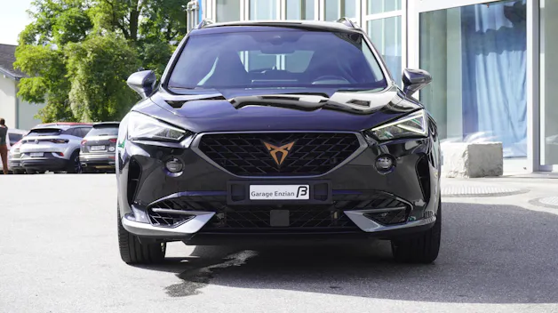 CUPRA Formentor 2.0TSI VZ 4Drive DSG mit 8x originale 19'' Kompletträder