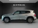 MERCEDES-BENZ GLB 250+ 85 kWh EQ