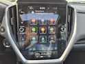 Subaru Crosstrek 2.0i e-Boxer Luxury