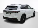 VW Tiguan 2.0 TSI DSG R-Line Black Style 4Motion