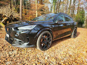 CUPRA Formentor 2.5TSI VZ5 4Drive DSG "TIEFERLEGUNG"