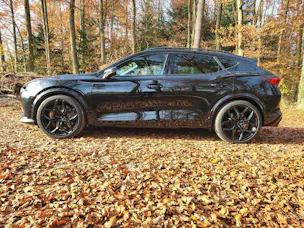 CUPRA Formentor 2.5TSI VZ5 4Drive DSG "TIEFERLEGUNG"