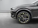 CUPRA Tribe Edition