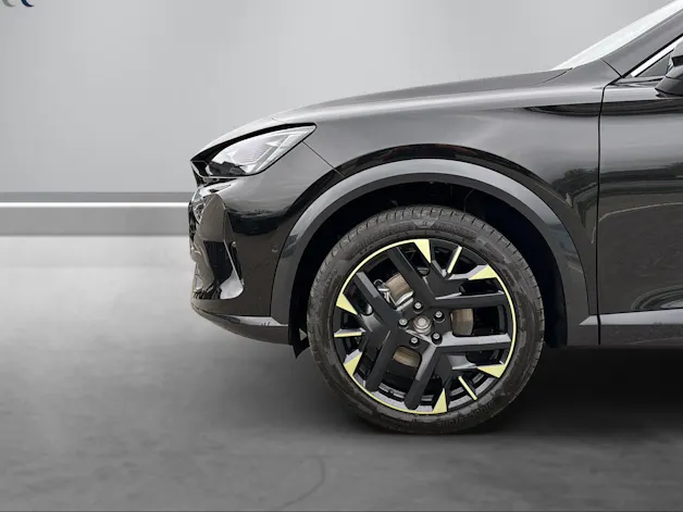 CUPRA Tribe Edition