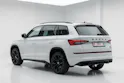SKODA Kodiaq 2.0 Bi-TDI SCR RS 4x4 DSG