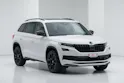 SKODA Kodiaq 2.0 Bi-TDI SCR RS 4x4 DSG