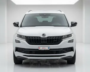 SKODA Kodiaq 2.0 Bi-TDI SCR RS 4x4 DSG