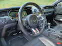 FORD Mustang Fastback 5.0 V8 Mach 1 Automat
