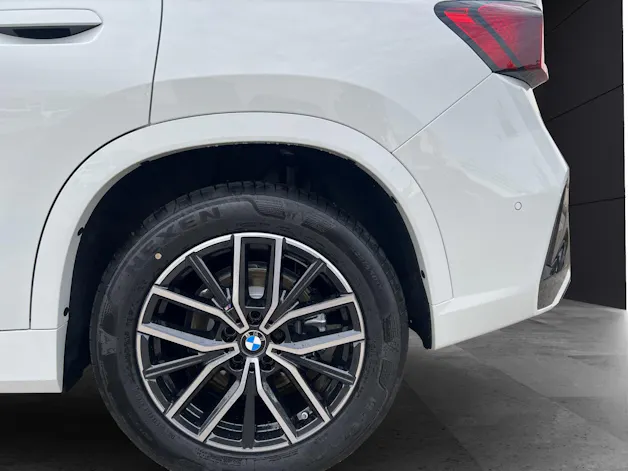 BMW X1 20d xDrive paddles