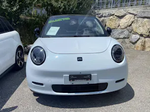 JAC E30X Electric