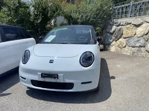 JAC E30X Electric