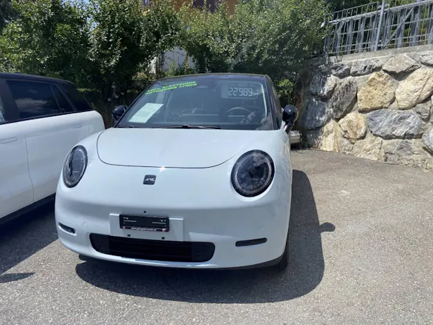 JAC E30X Electric
