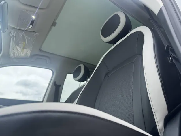 JAC E30X Electric