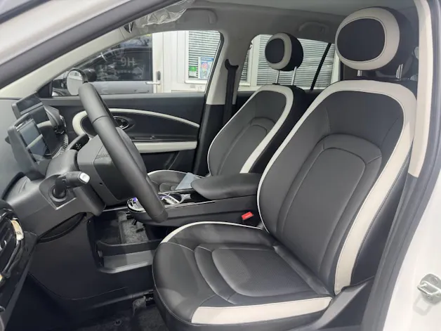 JAC E30X Electric