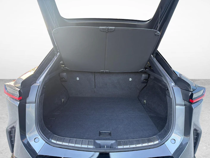 Fahrzeugbild LEXUS RZ