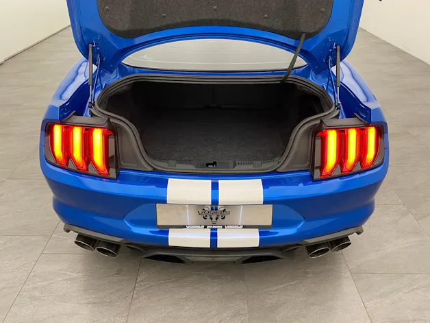 FORD Mustang GT500 Shelby