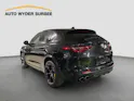 ALFA ROMEO Stelvio 2.9 V6 Biturbo Q4 Quadrifoglio