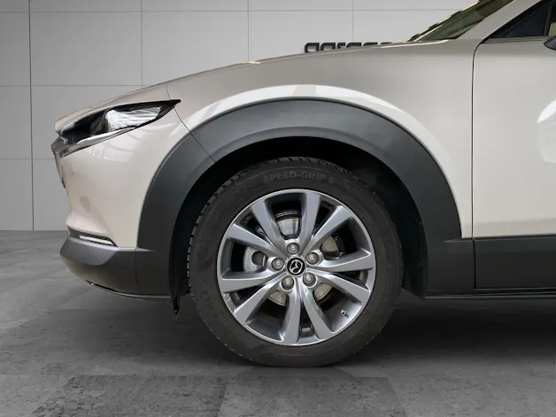 MAZDA CX-30 SKYACTIV-X 186 M Hybrid Exclusive Line AWD AT