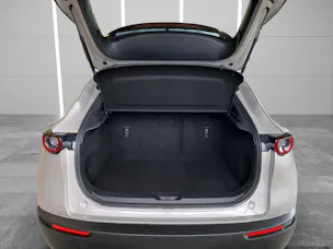 MAZDA CX-30 SKYACTIV-X 186 M Hybrid Exclusive Line AWD AT