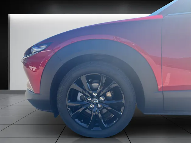 MAZDA CX-30 SKYACTIV-X 186 M Hybrid Homura AWD AT