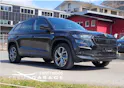 SKODA Kodiaq 2.0 TDI CR SportLine 4x4 DSG *Anhängerkupplung*