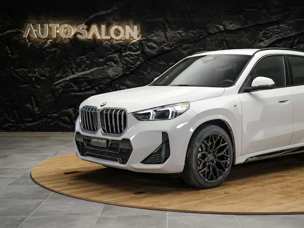 BMW X1 xDrive 23d M Sport *20" Felgen*Werksgarantie*AHK*