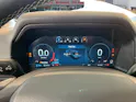 FORD Ranger Pick-up 4x4 Platinum PHEV