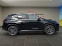 Lexus NX 350h Business FWD
