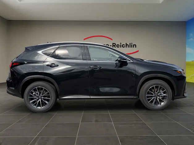 Lexus NX 350h Business FWD
