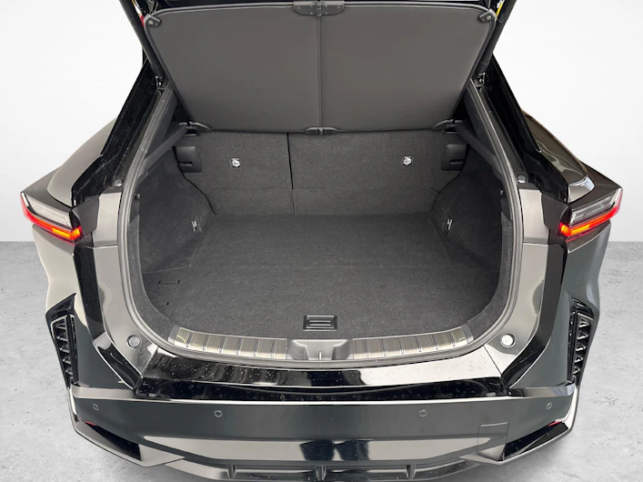Fahrzeugbild LEXUS RZ