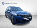 BMW X1 20d xDrive paddles