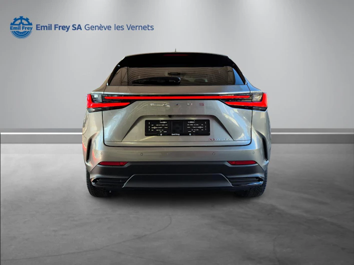 Fahrzeugbild LEXUS NX