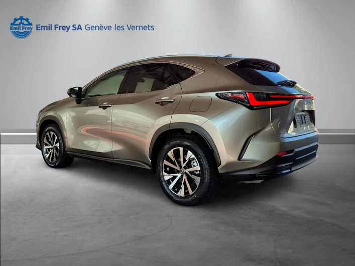 Fahrzeugbild LEXUS NX