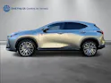 Lexus NX 450h+ Comfort