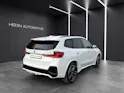 BMW X1 U11 20d xDrive paddles