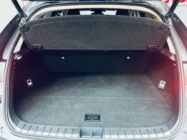 Lexus NX 300h Excellence E-Four Automatic