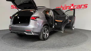 Lexus NX 300h Excellence E-Four Automatic
