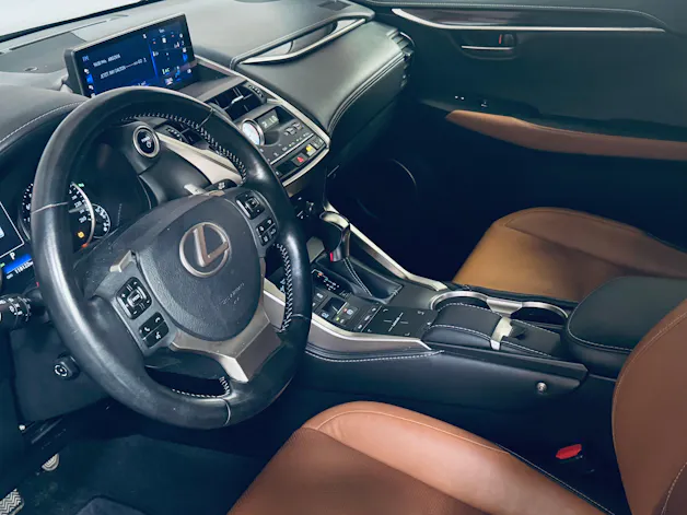 Lexus NX 300h Excellence E-Four Automatic