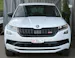 SKODA Kodiaq 2.0 Bi-TDI SCR RS 4x4 DSG